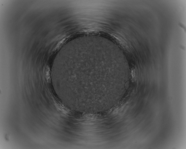 X0000097490963200803071735