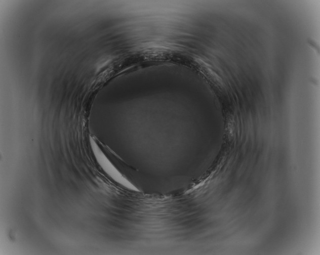 X0000097490964200803071735