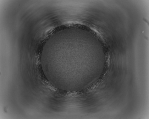 X0000097490965200803071735