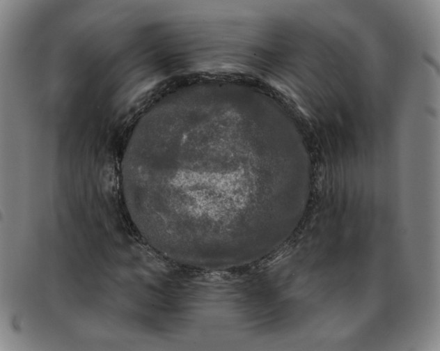 X0000097490966200803071735