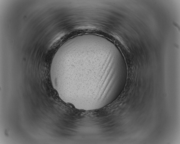 X0000097490967200803071735