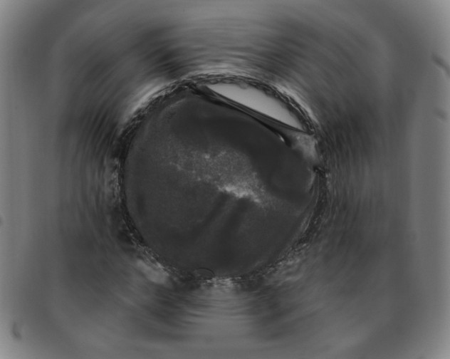 X0000097490968200803071735