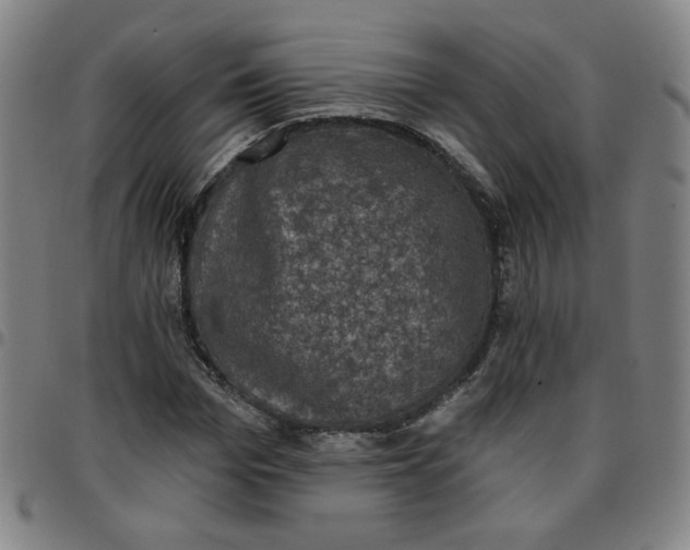 X0000097490969200803071735