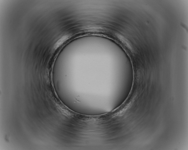 X0000097490970200803071735