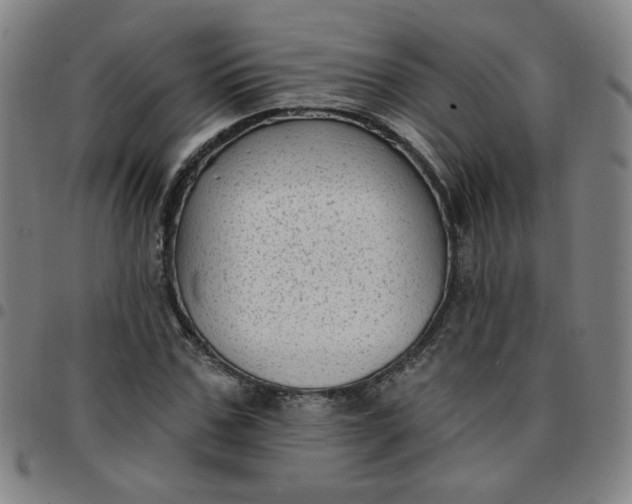 X0000097490971200803071735