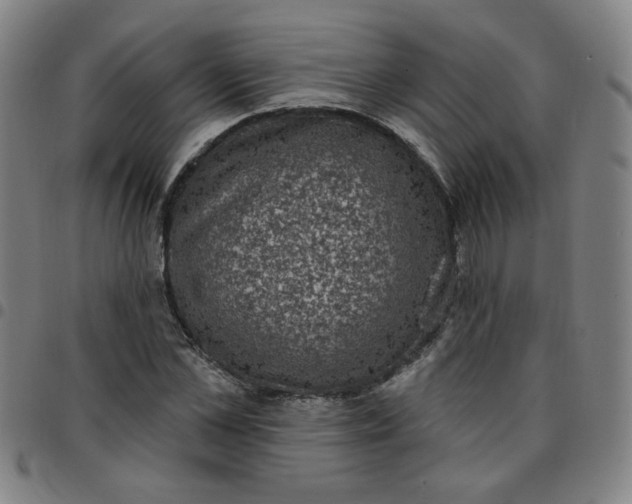 X0000097490973200803071735