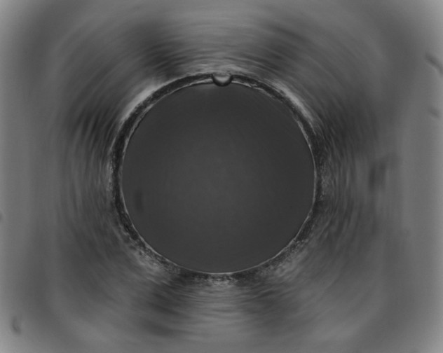 X0000097490975200803071735