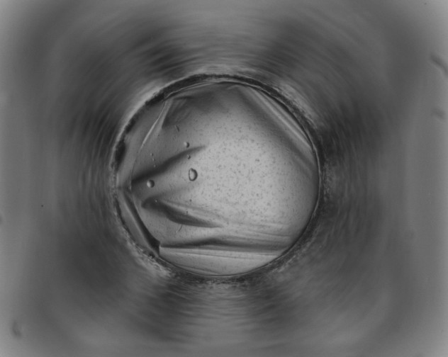 X0000097490976200803071735