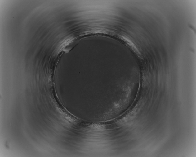 X0000097490977200803071735