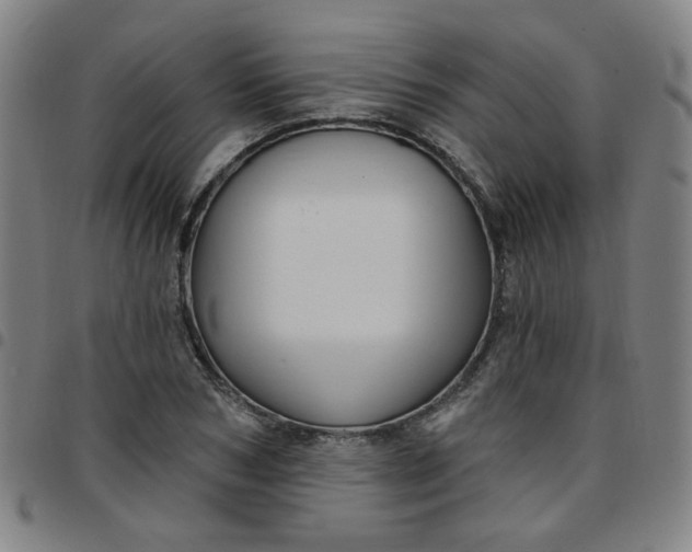 X0000097490978200803071735