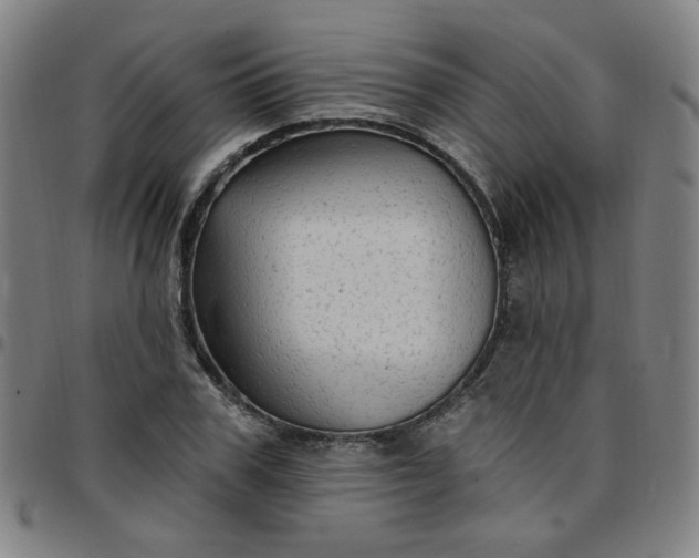 X0000097490979200803071735