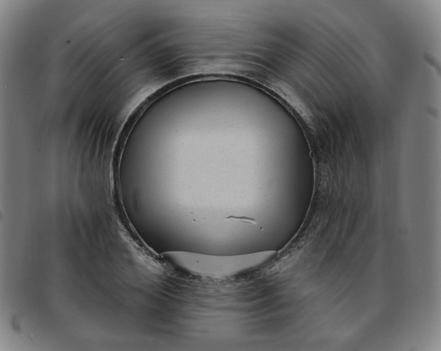 X0000097490980200803071735