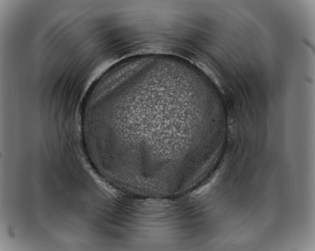 X0000097490981200803071735