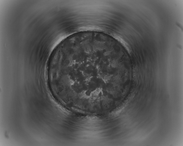 X0000097490983200803071735