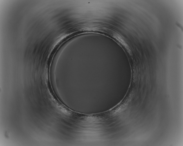 X0000097490984200803071735