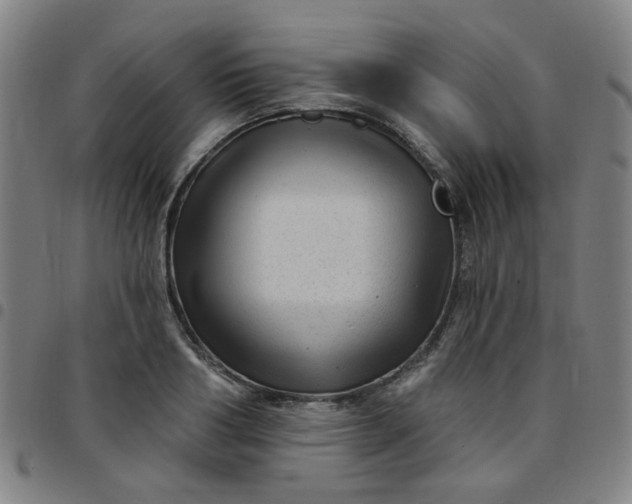 X0000097490986200803071735