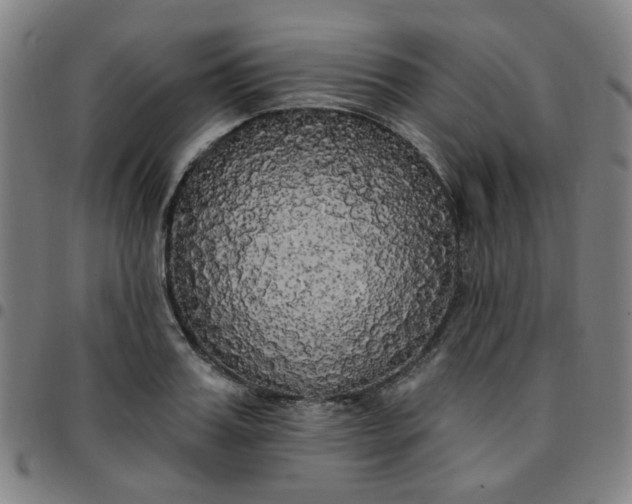 X0000097490987200803071735