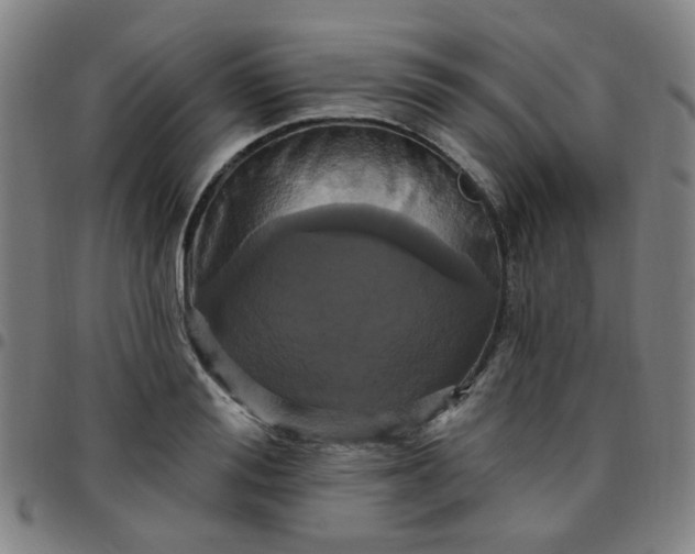 X0000097490988200803071735