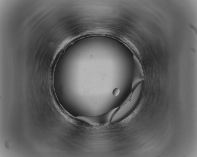 X0000097490989200803071735