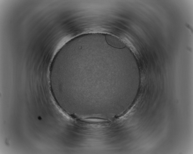 X0000097490990200803071735