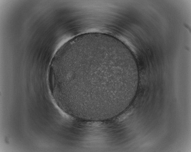 X0000097490991200803071735