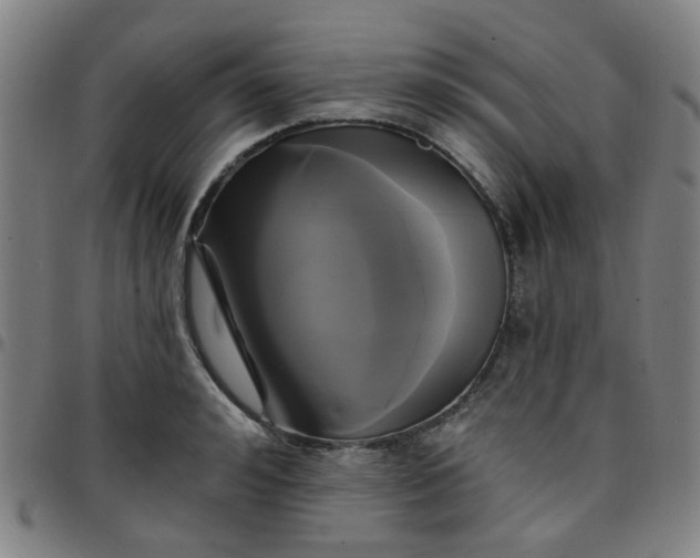 X0000097490992200803071735