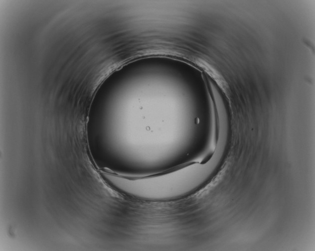 X0000097490993200803071735