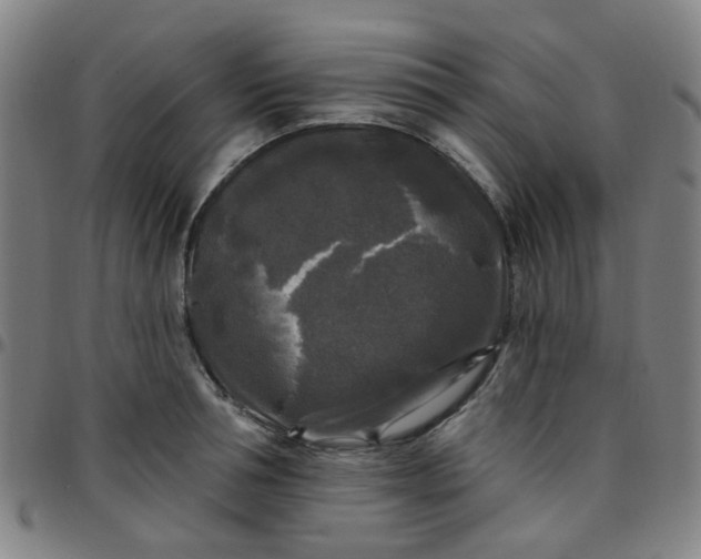 X0000097490994200803071735