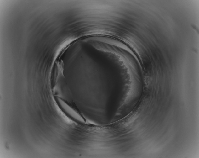 X0000097490995200803071735