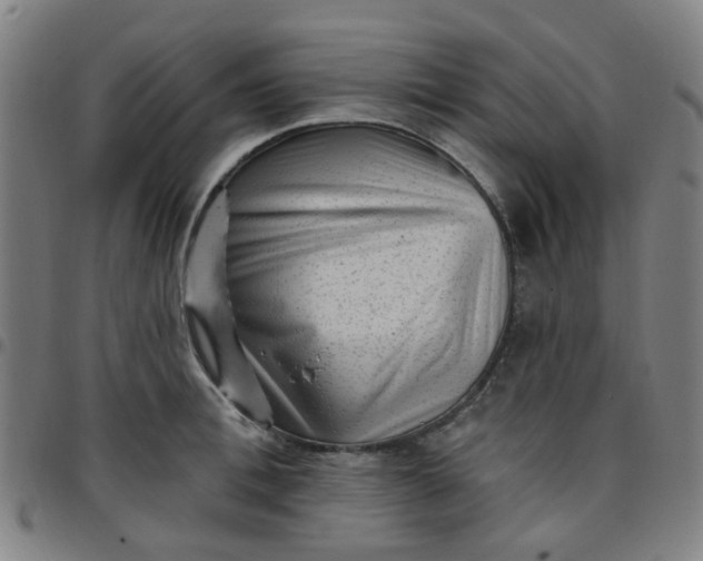 X0000097490996200803071735