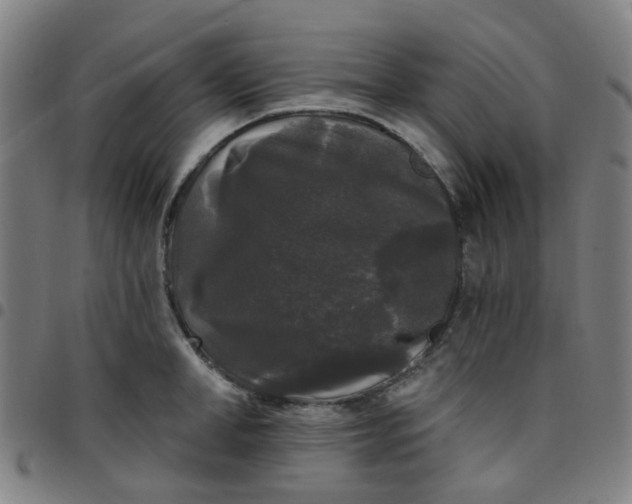 X0000097490998200803071735