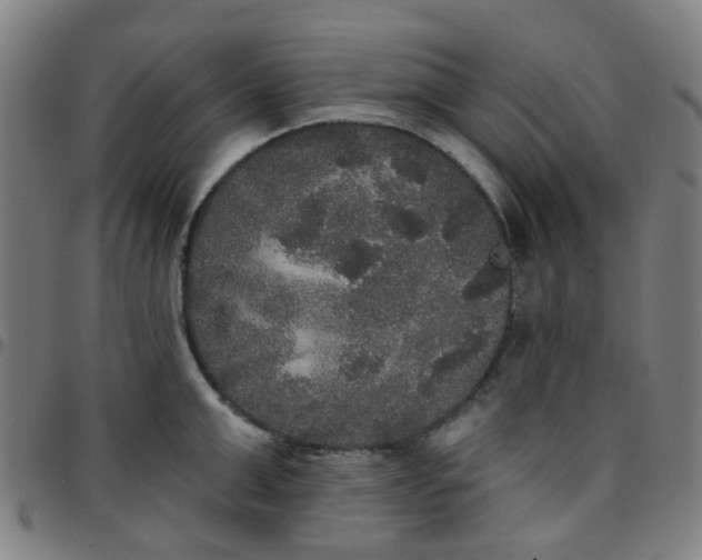 X0000097490999200803071735