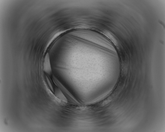 X0000097491000200803071735