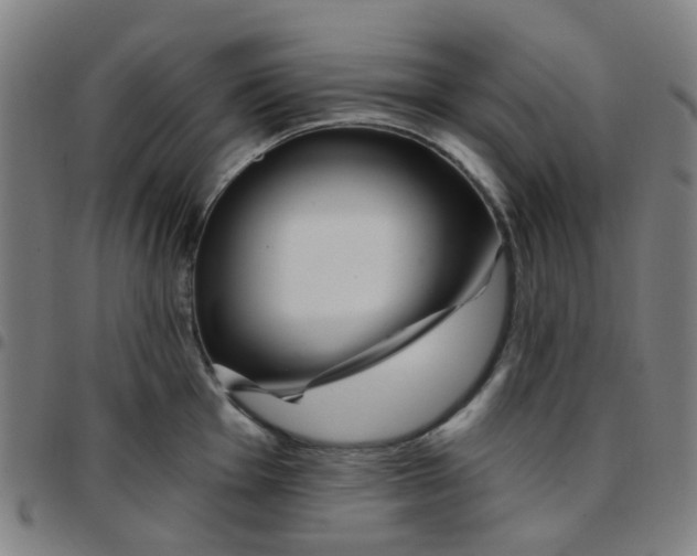 X0000097491001200803071735