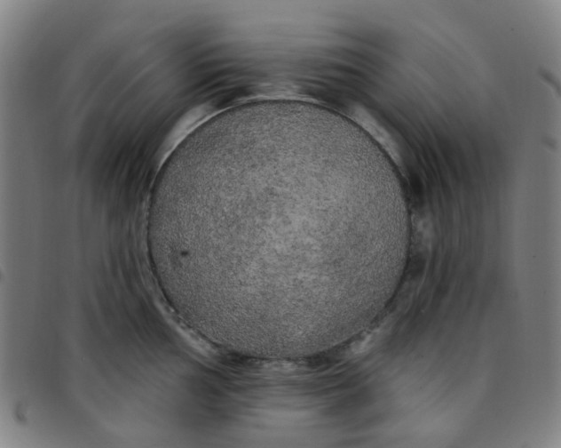 X0000097491002200803071735