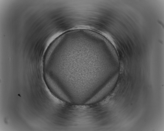 X0000097491003200803071735