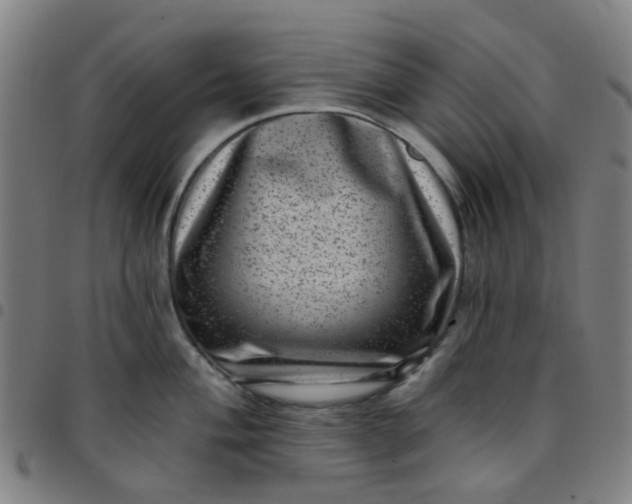 X0000097491004200803071735