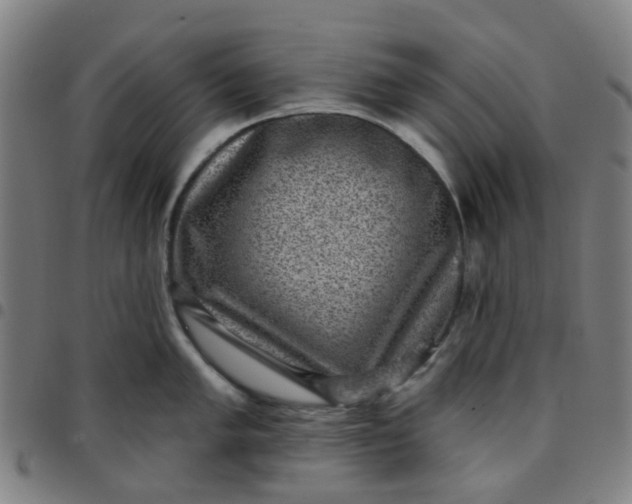 X0000097491005200803071735