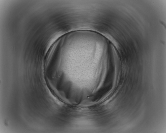 X0000097491006200803071735