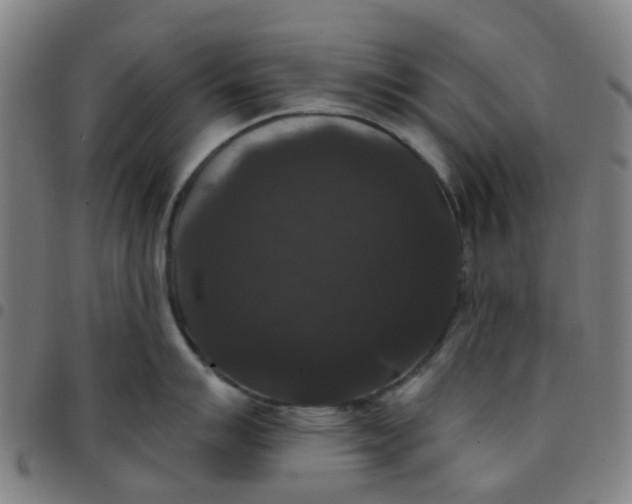 X0000097491007200803071735