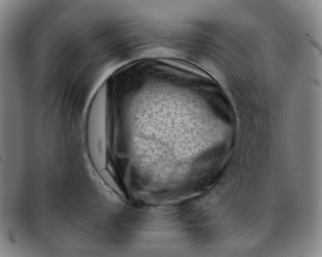 X0000097491008200803071735