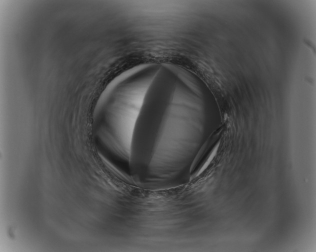 X0000097491009200803071734