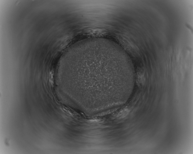 X0000097491010200803071734