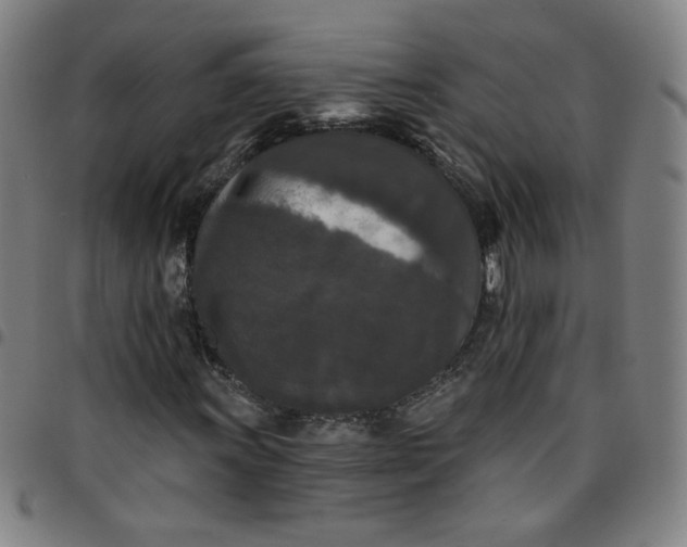 X0000097491011200803071734