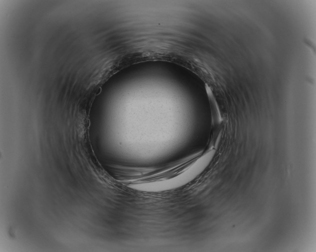 X0000097491012200803071734