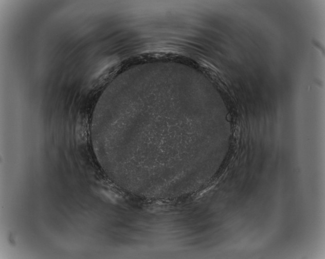 X0000097491014200803071734