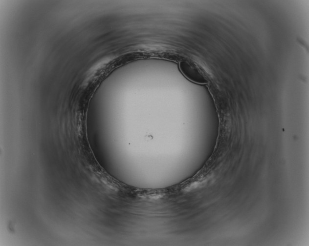 X0000097491016200803071734