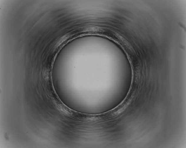 X0000097491017200803071734