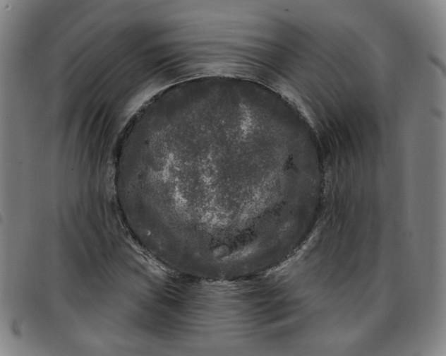 X0000097491019200803071734