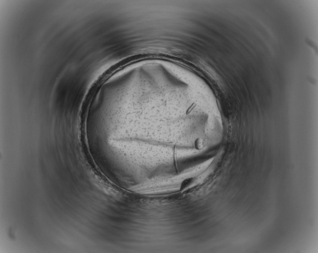 X0000097491020200803071734